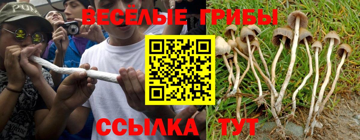 Псилоцибиновые грибы мухоморы Сатка