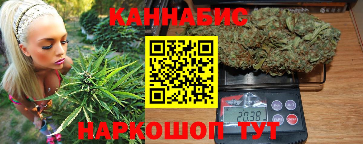 Бошки Шишки индика  Вход с VPN  Бошки Шишки SATIVA & INDICA  Бошки Шишки сатива  Сатка  Конопля план 